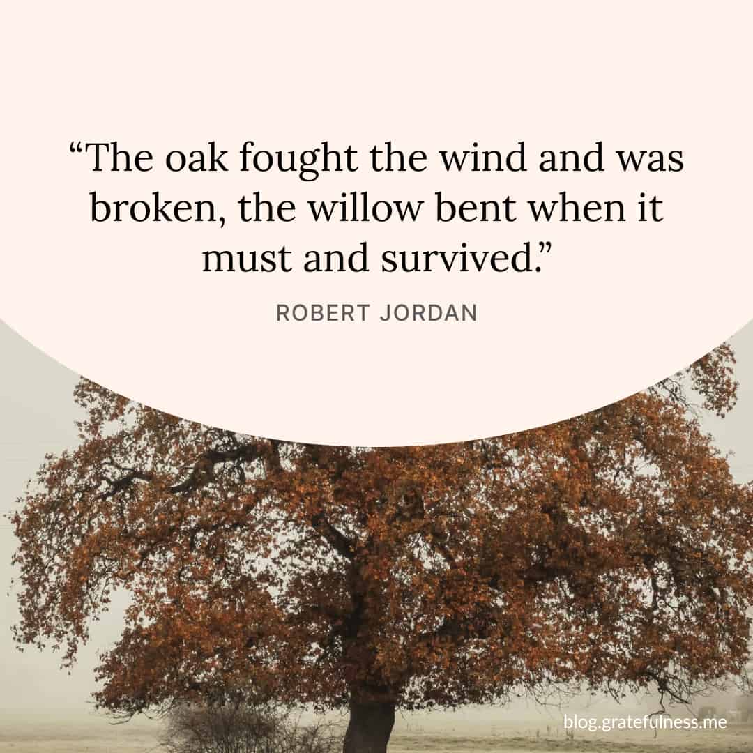 5 Uplifting Resilience Quotes to Keep You Going Strong